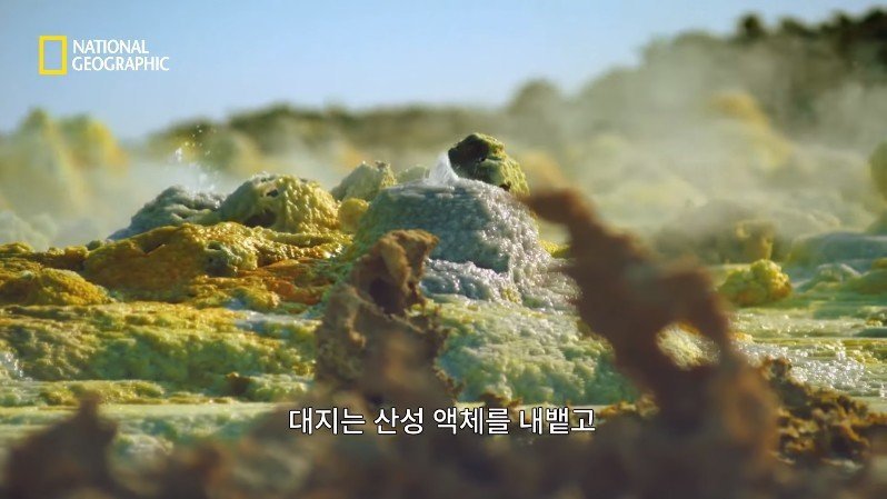 댈롤 화산: 지옥과 같은 이곳에 사는 단 하나의 생명체 | 인스티즈