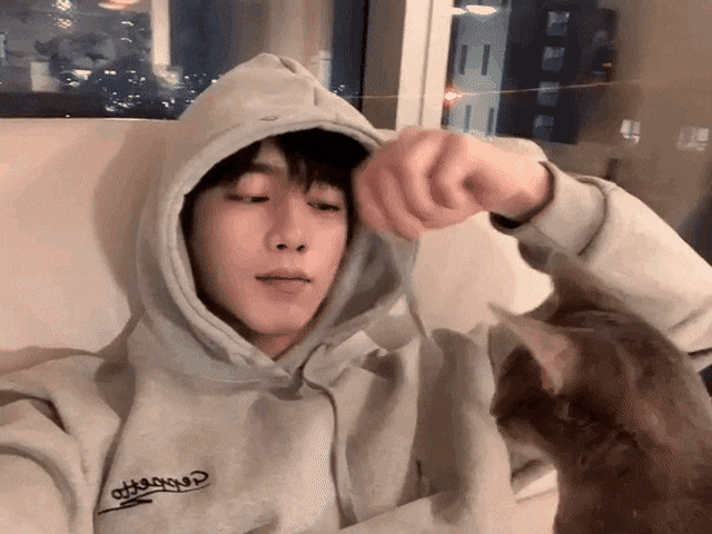 고양이랑 놀아주는 서강준 인스타영상.gif | 인스티즈