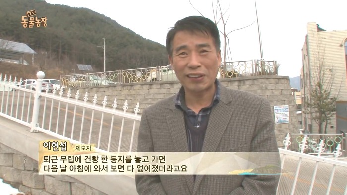 [동물농장] 수로 속에 갇힌 황구가 찾는 희망.JPG (감동주의) | 인스티즈