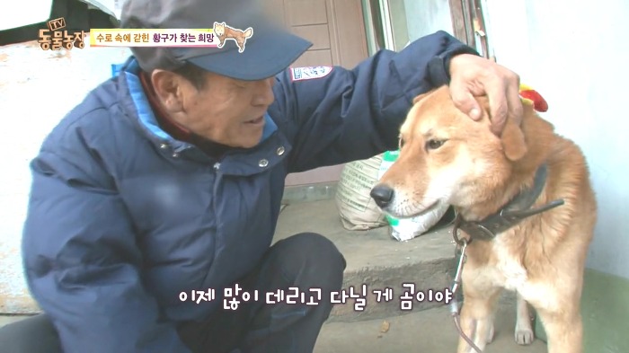 [동물농장] 수로 속에 갇힌 황구가 찾는 희망.JPG (감동주의) | 인스티즈