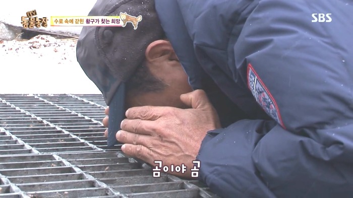 [동물농장] 수로 속에 갇힌 황구가 찾는 희망.JPG (감동주의) | 인스티즈