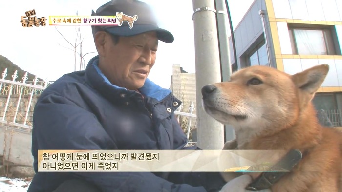 [동물농장] 수로 속에 갇힌 황구가 찾는 희망.JPG (감동주의) | 인스티즈