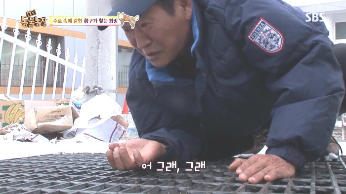 [동물농장] 수로 속에 갇힌 황구가 찾는 희망.JPG (감동주의) | 인스티즈