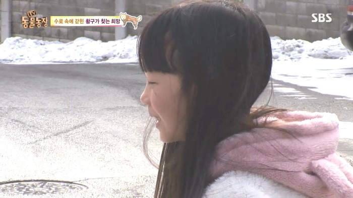 [동물농장] 수로 속에 갇힌 황구가 찾는 희망.JPG (감동주의) | 인스티즈