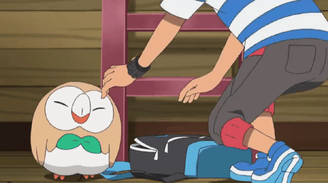 포켓몬을 6마리 이상 데리고다니는 방법 | 인스티즈