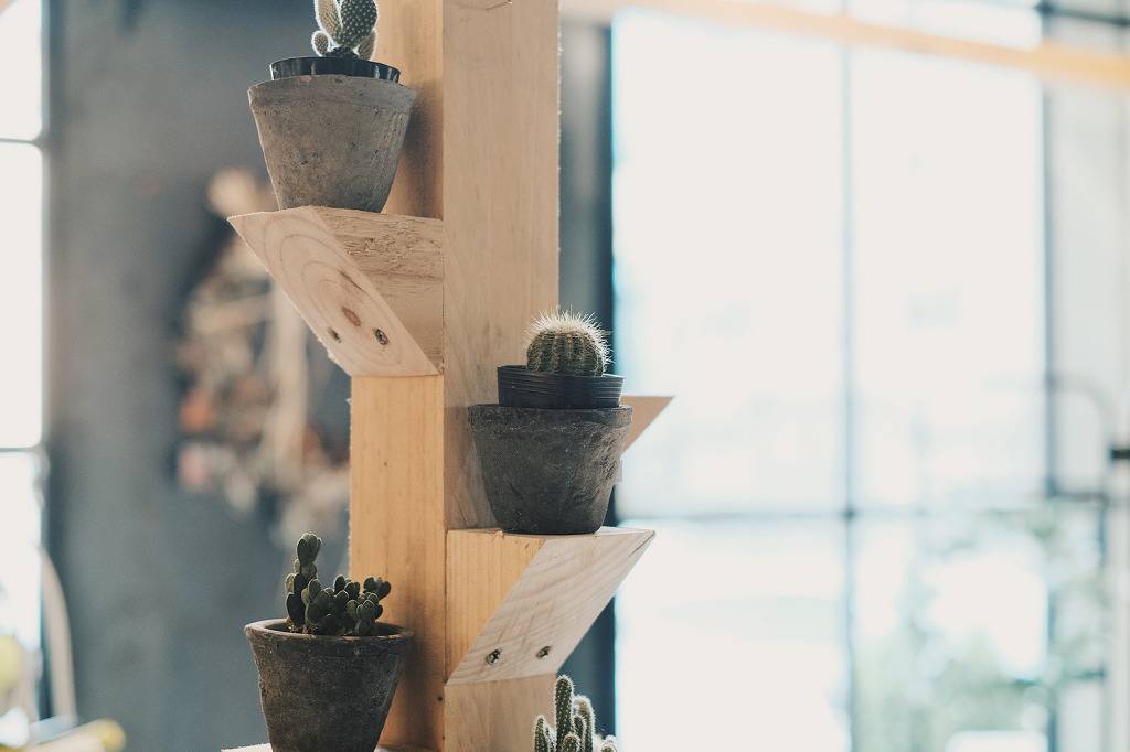 크리스마스에 찍은 소소한 스냅사진 | 인스티즈