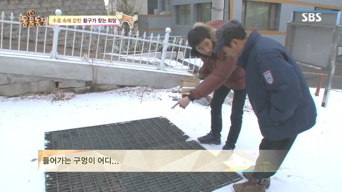 [동물농장] 수로 속에 갇힌 황구가 찾는 희망.JPG (감동주의) | 인스티즈