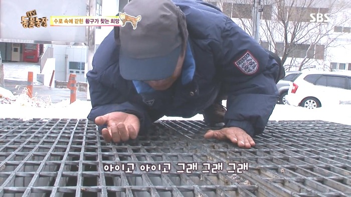 [동물농장] 수로 속에 갇힌 황구가 찾는 희망.JPG (감동주의) | 인스티즈