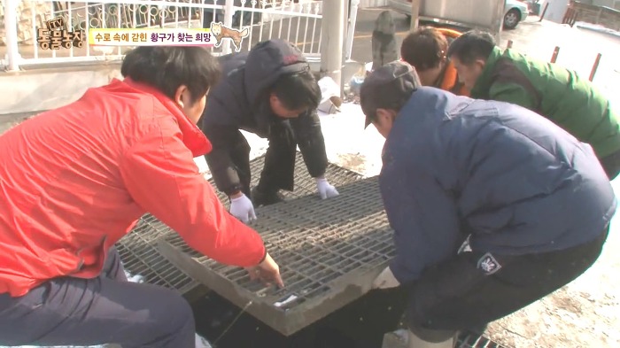 [동물농장] 수로 속에 갇힌 황구가 찾는 희망.JPG (감동주의) | 인스티즈