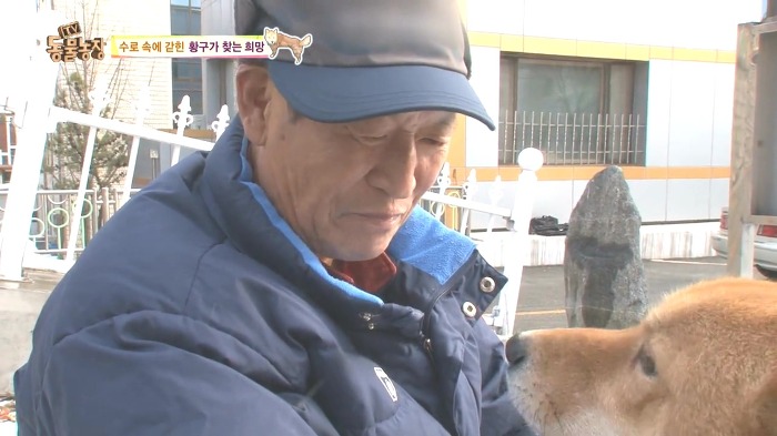 [동물농장] 수로 속에 갇힌 황구가 찾는 희망.JPG (감동주의) | 인스티즈