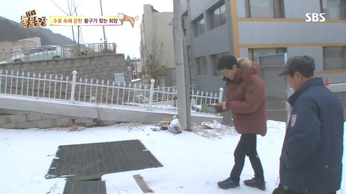 [동물농장] 수로 속에 갇힌 황구가 찾는 희망.JPG (감동주의) | 인스티즈