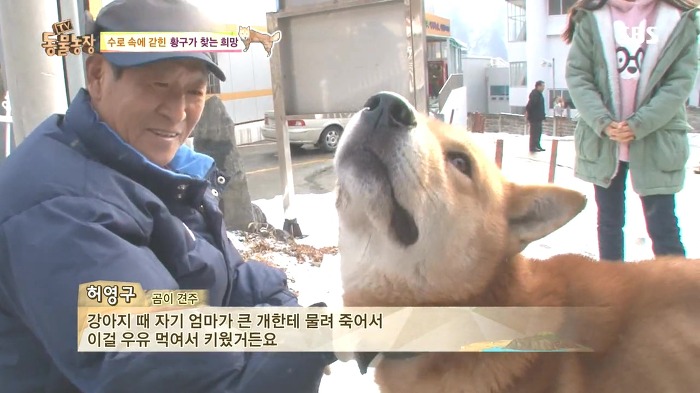 [동물농장] 수로 속에 갇힌 황구가 찾는 희망.JPG (감동주의) | 인스티즈