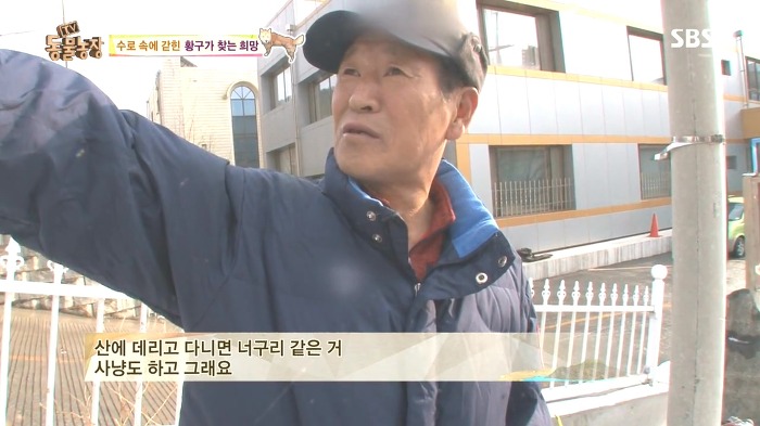 [동물농장] 수로 속에 갇힌 황구가 찾는 희망.JPG (감동주의) | 인스티즈