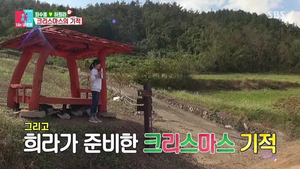 [동상이몽] 최애한테 계 타고 폭풍눈물 흘리는 최수종.jpg | 인스티즈