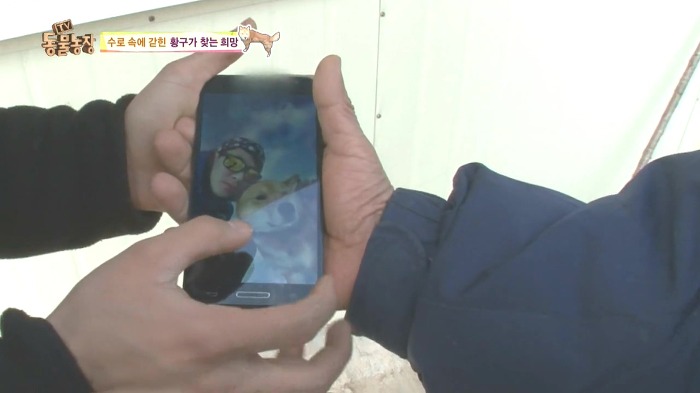 [동물농장] 수로 속에 갇힌 황구가 찾는 희망.JPG (감동주의) | 인스티즈