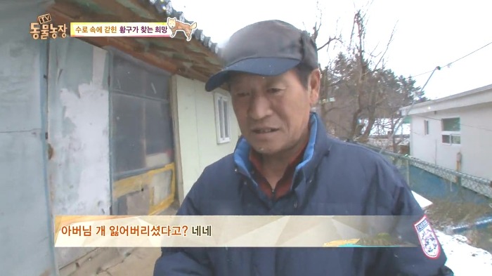 [동물농장] 수로 속에 갇힌 황구가 찾는 희망.JPG (감동주의) | 인스티즈