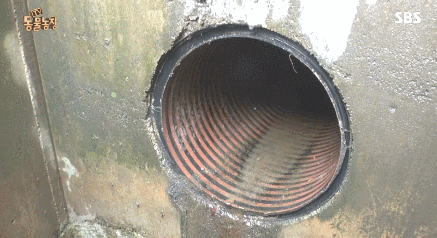 [동물농장] 수로 속에 갇힌 황구가 찾는 희망.JPG (감동주의) | 인스티즈