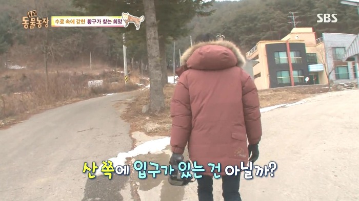 [동물농장] 수로 속에 갇힌 황구가 찾는 희망.JPG (감동주의) | 인스티즈