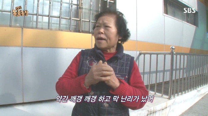 [동물농장] 수로 속에 갇힌 황구가 찾는 희망.JPG (감동주의) | 인스티즈