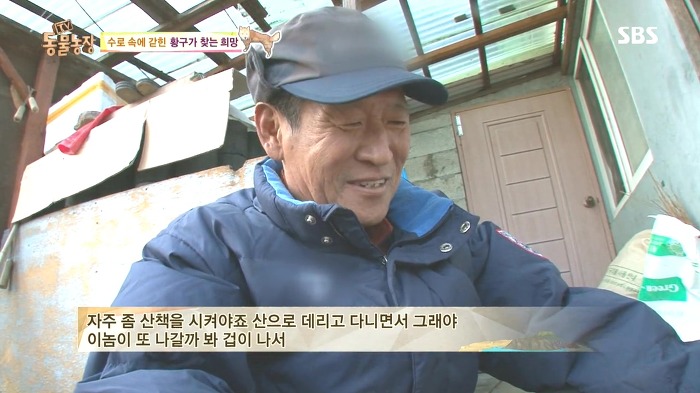 [동물농장] 수로 속에 갇힌 황구가 찾는 희망.JPG (감동주의) | 인스티즈