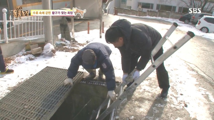 [동물농장] 수로 속에 갇힌 황구가 찾는 희망.JPG (감동주의) | 인스티즈