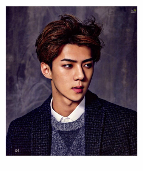 한국인이 하얗다는 걸 인정하지 못하는 동남아 팬들 | 인스티즈