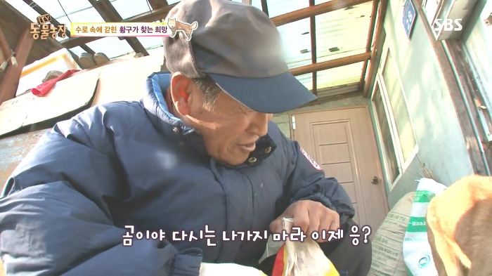 [동물농장] 수로 속에 갇힌 황구가 찾는 희망.JPG (감동주의) | 인스티즈