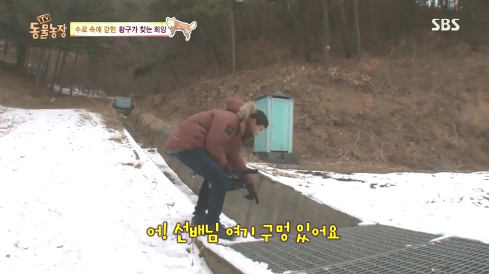 [동물농장] 수로 속에 갇힌 황구가 찾는 희망.JPG (감동주의) | 인스티즈