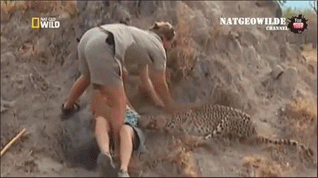 사람이 치타 이긴다 vs 못이긴다 | 인스티즈