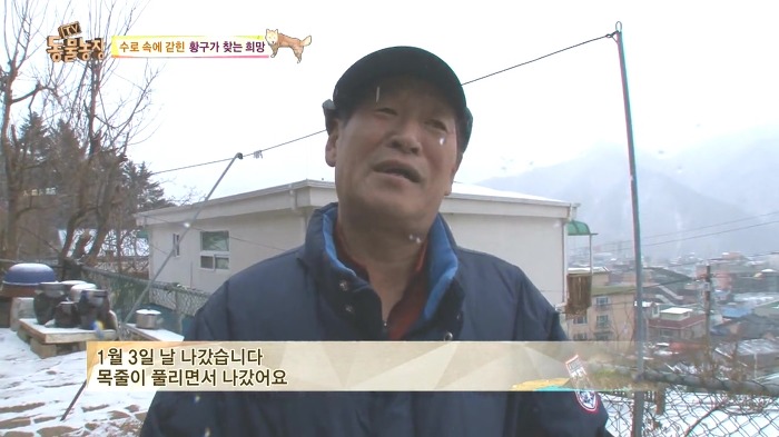 [동물농장] 수로 속에 갇힌 황구가 찾는 희망.JPG (감동주의) | 인스티즈