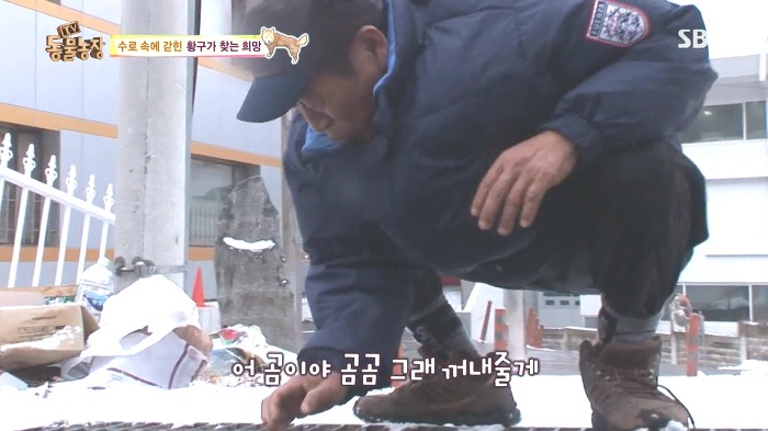 [동물농장] 수로 속에 갇힌 황구가 찾는 희망.JPG (감동주의) | 인스티즈