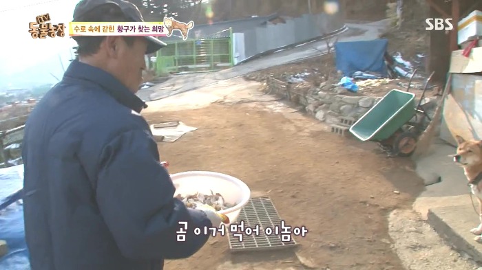 [동물농장] 수로 속에 갇힌 황구가 찾는 희망.JPG (감동주의) | 인스티즈