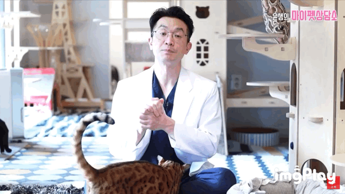 고양이 좋아 하는 사람만. (심쿵) | 인스티즈