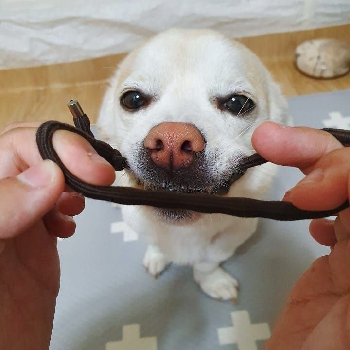 절미 인스타그램 - 머리끈 | 인스티즈