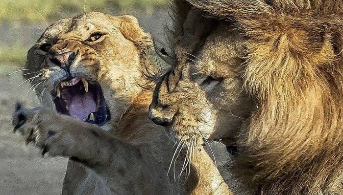 내 아들이 죽지 않고 살아있는 건 귀엽기 때문 | 인스티즈