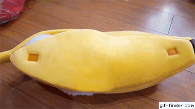 바나나는 원래 하얗다 | 인스티즈