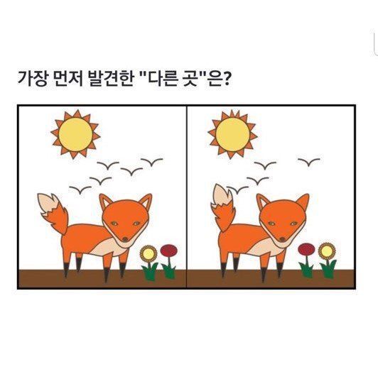틀린그림찾기 심리테스트 | 인스티즈
