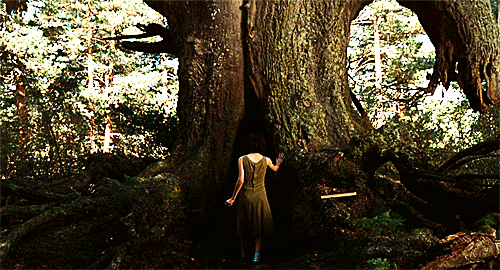 초딩들이 엄마 손잡고 보러 갔다가 울면서 나온 영화 | 인스티즈