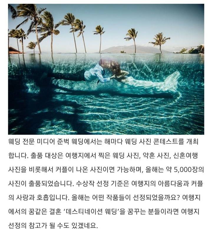 2018 여행지에서 찍은 웨딩 사진 베스트.jpg | 인스티즈