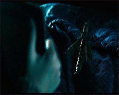 초딩들이 엄마 손잡고 보러 갔다가 울면서 나온 영화 | 인스티즈