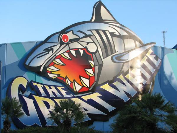 수족관에 백상아리가 없는 이유 | 인스티즈