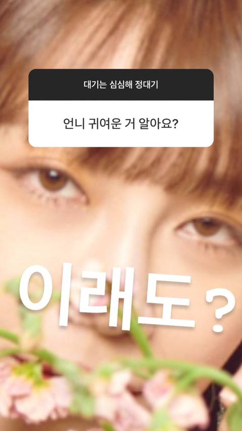 이래도 기엽냐는 에이핑크 정은지.jpg | 인스티즈