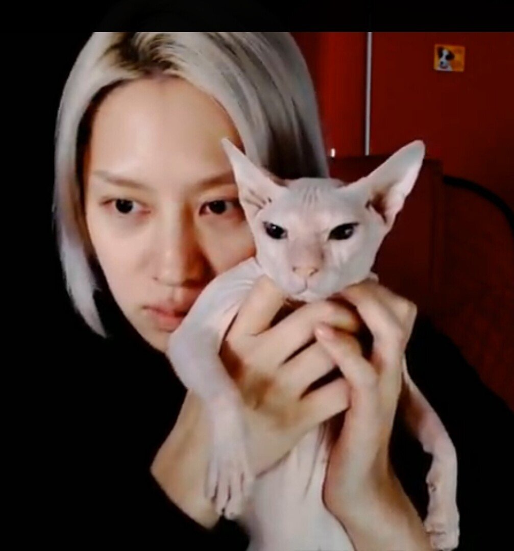 유튜브 라이브에서 설리 고양이 공개한 김희철.jpg | 인스티즈