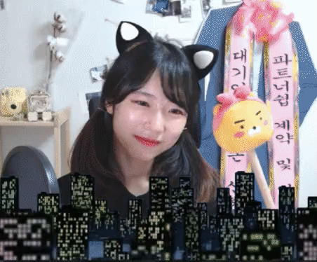 우리 사무실 고양이 미쳤다 진심 | 인스티즈