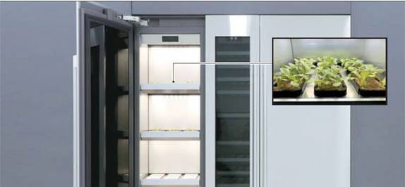 LG전자가 내놓은 집에서 할 수 있는 마지막 보루 현실화 ㄷㄷㄷ | 인스티즈