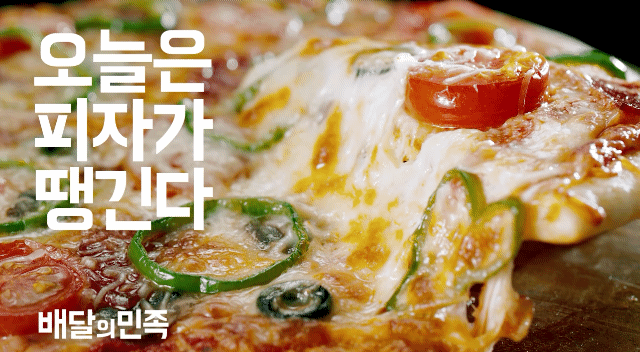 두 회사 중 하나에 투자해야 한다 | 인스티즈