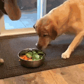 그거 지지 아니야 먹는 거라고! | 인스티즈