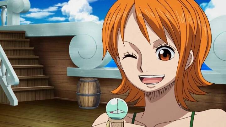 원피스 루피해적단에서 가장 필요한 존재.jpg | 인스티즈