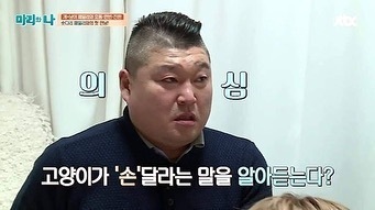 고양이도 손 달라는 말 알아들어요.jpg | 인스티즈