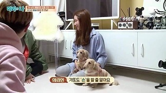 고양이도 손 달라는 말 알아들어요.jpg | 인스티즈